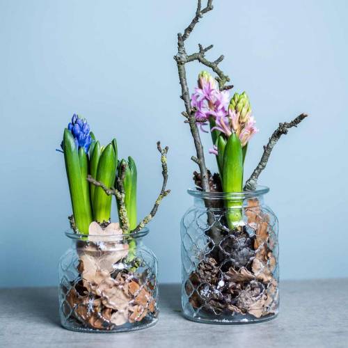 Floristik24 Dekoratív lámpás gyémánt mintás, üvegedény, üvegváza, gyertya díszítés 2db