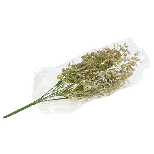 Floristik24 Díszág világoszöld 35cm