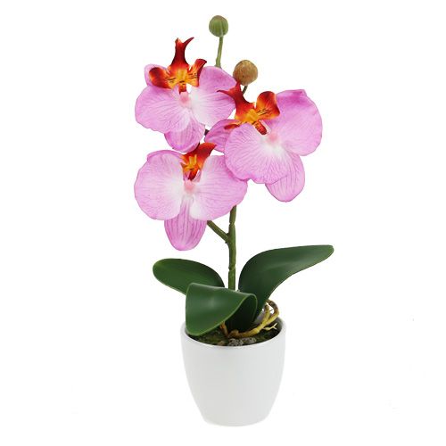 Floristik24 Dekoratív orchidea cserépben rózsaszín H29cm