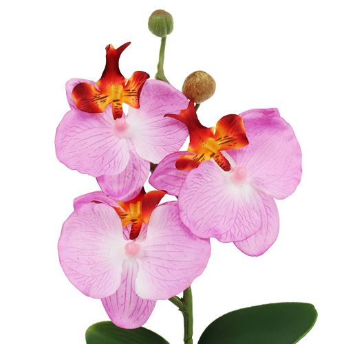 Floristik24 Dekoratív orchidea cserépben rózsaszín H29cm