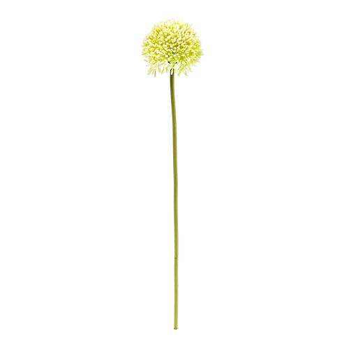 Floristik24 Deco allium krém Ø6,5cm L39cm