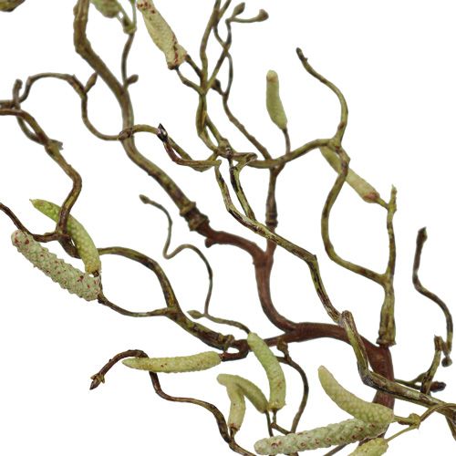 tételeket Dekoratív nyírfaág 68cm