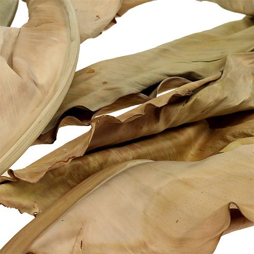 Floristik24 Dekoratív levelek természet 120cm 20 db