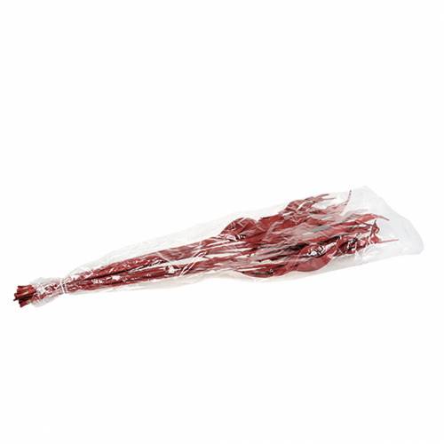 Floristik24 Díszlevelek Strelitzia piros 85-105cm 10 db