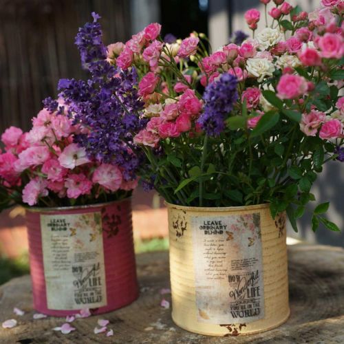 tételeket Díszdoboz sárgabarack növénycserép fém nyári dekoráció Ø15,5cm H15cm