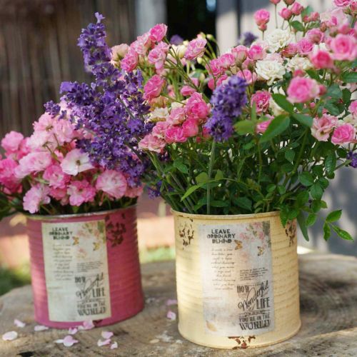 tételeket Dekoratív fém bádog, sárgabarack, fém kaspó, nyári dekoráció, Ø15.5cm M15cm