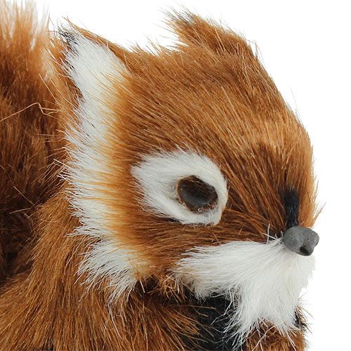 Floristik24 Dekoratív mókusbarna 8,5cm