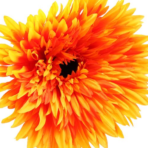 Floristik24 Deco gerbera narancs Ø15cm L88cm