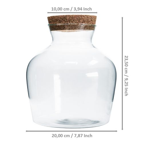 Floristik24 Dekoratív üveg parafával Dekoratív váza átlátszó hagymás Ø20cm H21cm