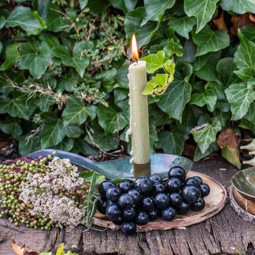 Floristik24 Dekoratív fa korong lángos Rusztikus fa díszítő rétegelt lemez Ø20cm