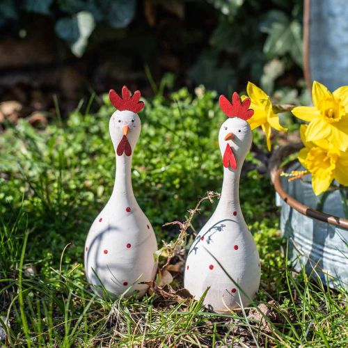 Floristik24 Dekoratív csirkefa fehér pöttyös húsvéti figura Ø7cm H20cm