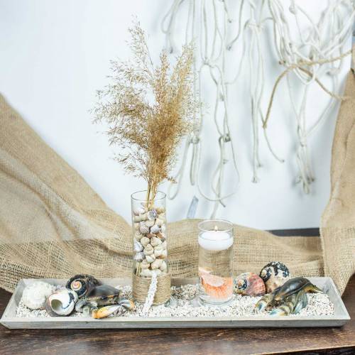 Floristik24 Dekoratív rák és homár 11-15 cm