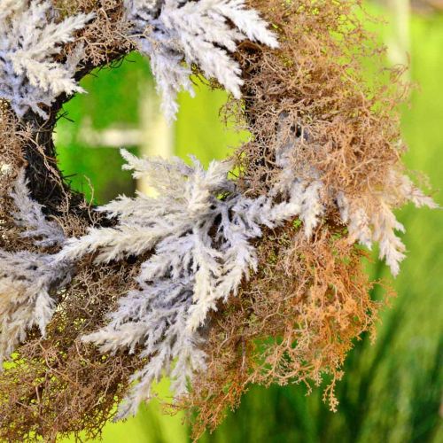 tételeket Deco koszorú műpampás fűkrém, barna ajtókoszorú Ø60cm