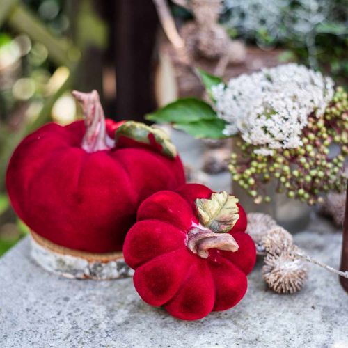 Floristik24 Deco tökpiros asztaldísz őszi polyresin 10,5×9cm 2db