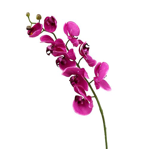 Floristik24 Dekoratív orchidea rózsaszín L77cm