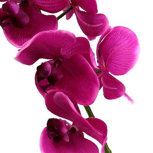 tételeket Dekoratív orchidea rózsaszín L77cm