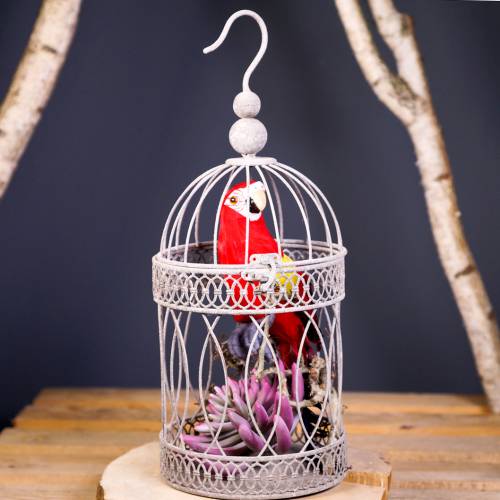 Floristik24 Deco papagáj piros 44cm