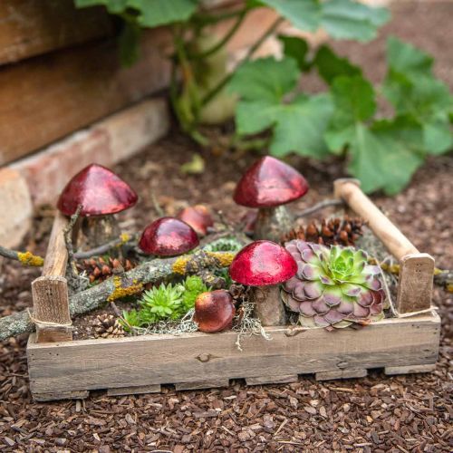 Floristik24 Deco gomba üveg piros őszi dekoráció asztali dekoráció Ø6,5cm H10cm 3db