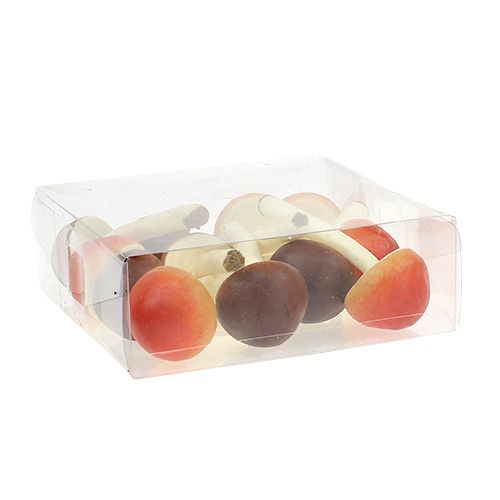 Floristik24 Deco gomba barna, narancs 9cm 12db