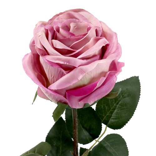 tételeket Dekoratív rózsával töltött régi rózsaszín Ø10cm L65cm 3db