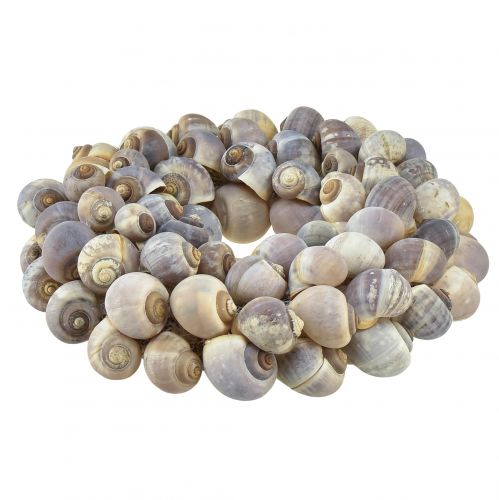 Floristik24 Dekoratív tengeri csigakoszorú akasztós tengeri csigákhoz Ø25cm