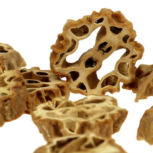 Floristik24 Diószeletek 2cm natúr 250g