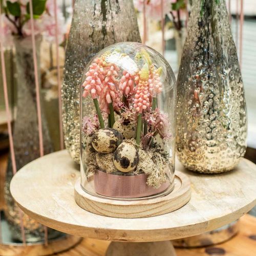 Floristik24 Dekoratív harang, üvegkupola fa tányérral, asztaldísz H16cm Ø12,5cm