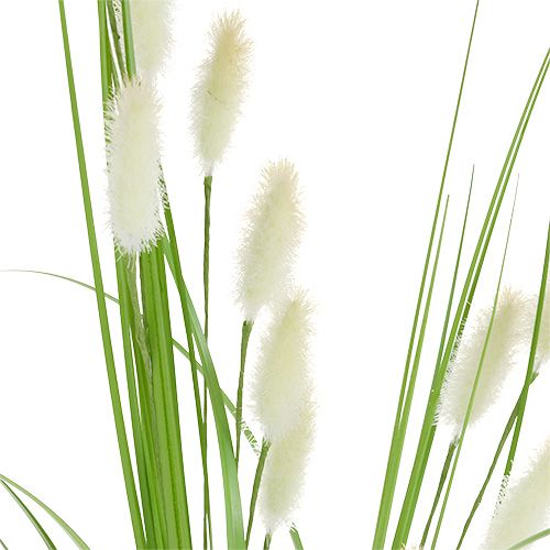 Floristik24 Dekoratív fű zöld L85cm