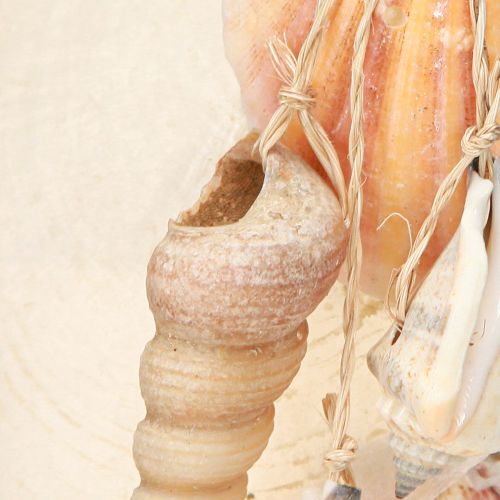 Floristik24 Dekoratív fogas Beach House Blue Capiz toronycsiga H25cm