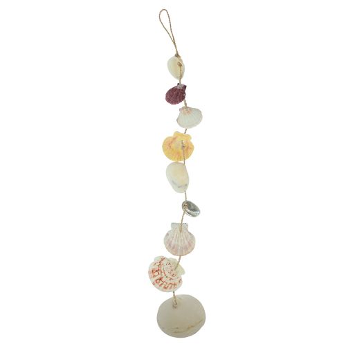 Floristik24 Dekoratív fogas tengeri kagyló dekoráció natúr Ø5-10cm 70cm