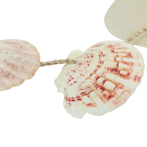 tételeket Dekoratív fogas tengeri kagyló dekoráció natúr Ø5-10cm 70cm