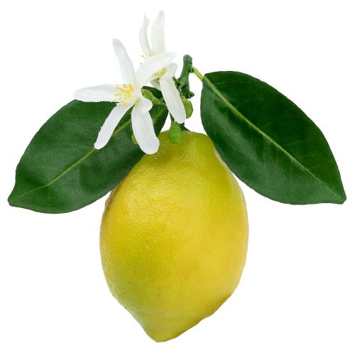 Díszgyümölcs, citrom levelekkel sárga 9,5cm 4db