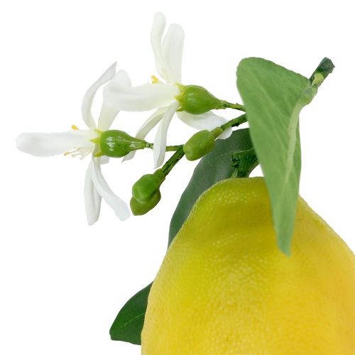 Floristik24 Díszgyümölcs, citrom levelekkel sárga 9,5cm 4db