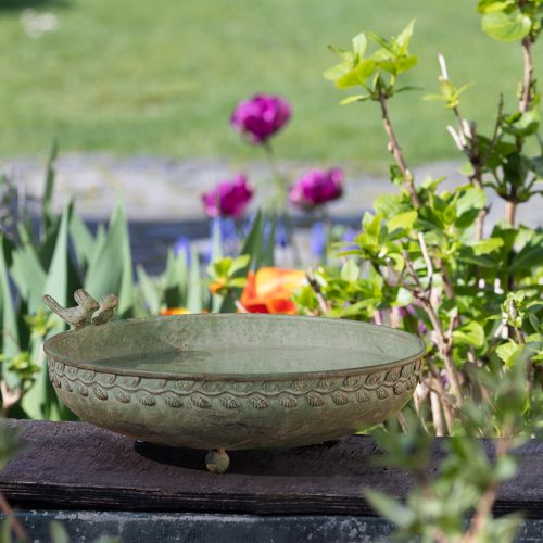 Floristik24 Dekoratív tál Birds fémtállal Antik zöld barna Ø30cm