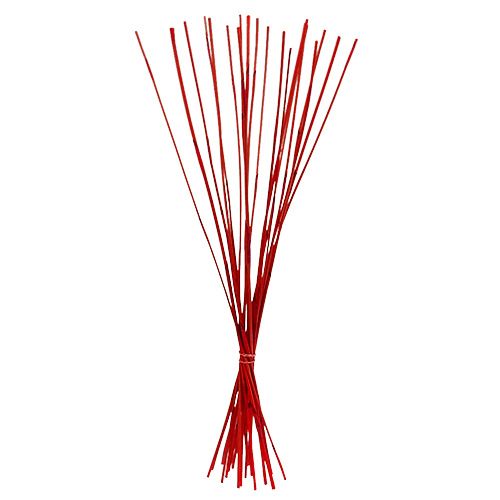 Floristik24 Díszpálcikák, Elephant Reed Red 20 db