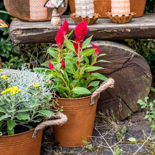 Floristik24 Nyeles dekorfazék, őszi dekoráció, fémtál patinás Ø20cm H19cm