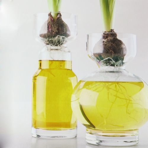 Floristik24 Dekoratív vízsárga 150ml