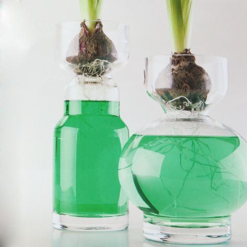 Floristik24 Díszvízzöld 150ml