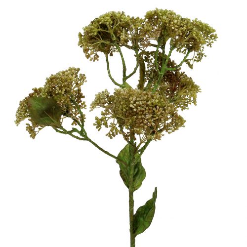 Dekoratív ág sedum növény zöld 58cm