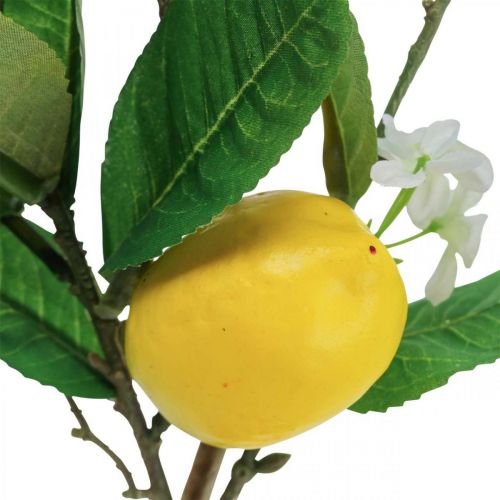 tételeket Dekoratív citromág virágokkal és gyümölcsökkel H68cm