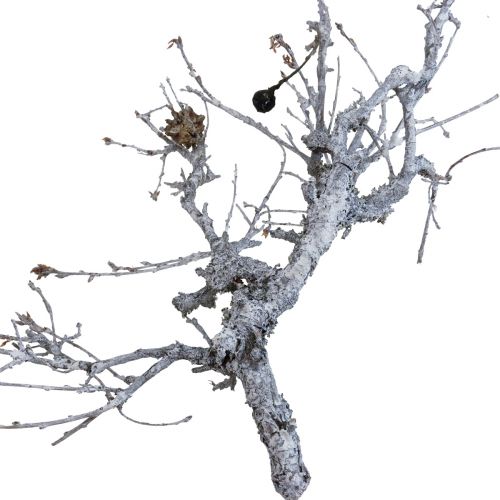 Deco ágak bonsai fa deco ágak mosott fehér 800g