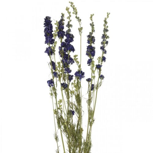 Szárított delphinium, száraz virágkötő, delphinium blue L64cm 25g