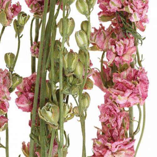 tételeket Szárított virág delphinium, Delphinium rózsaszín, száraz virágkötő L64cm 25g