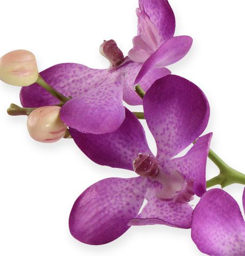 tételeket Orchidea 38 cm