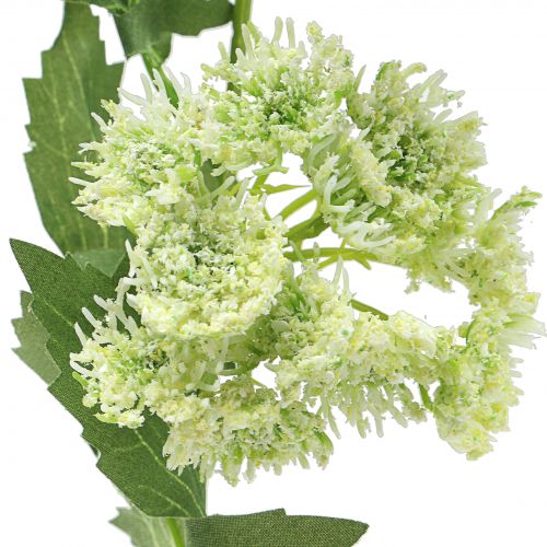 tételeket Kapor műfehér 49cm 6 db