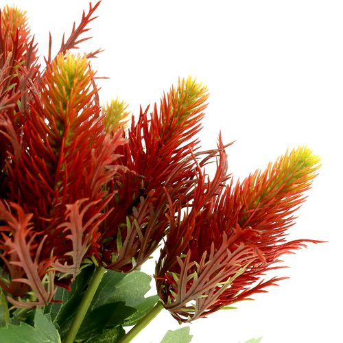 Floristik24 Bogáncs piros-zöld 20cm 12db