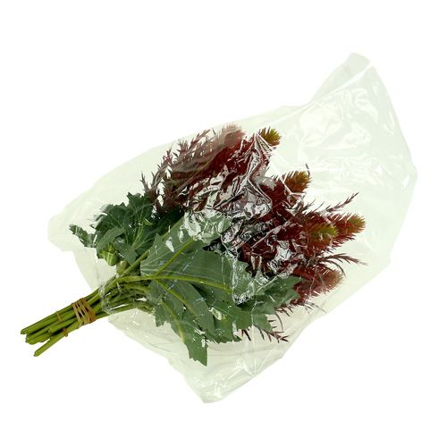 Floristik24 Bogáncs piros-zöld 20cm 12db