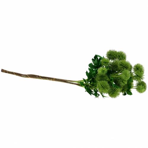 Floristik24 Bogáncs selyemvirág zöld 56cm 3db