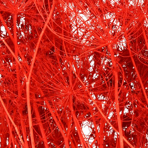 tételeket Esküvőkre és rendezvényekre való dekoratív ernyősvirág-csokor