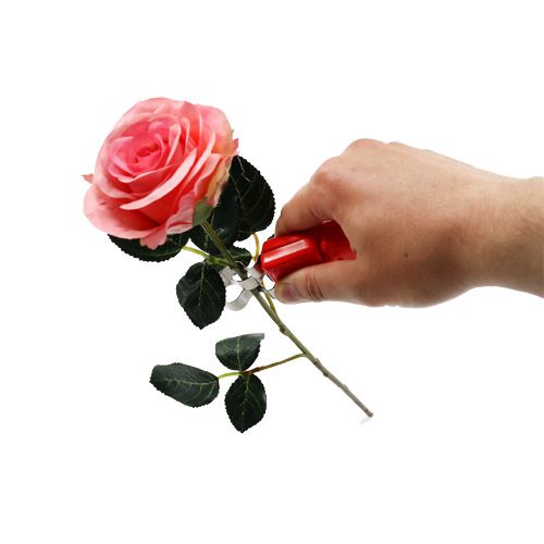 Floristik24 Rózsa tövistörő